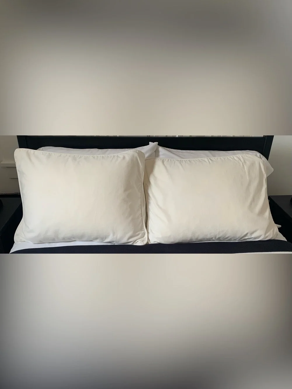 Pottery Barn Teen Ivory Velvet Stand Pillow Sham  Set of (2)